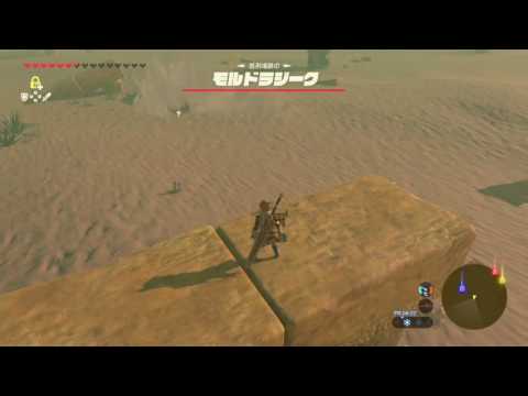 コッコｖｓモルドラジーク