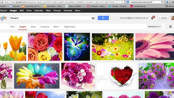 Google advanced search for copyright free images
