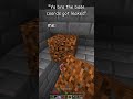 When the base coords get leaked in mc... #shorts