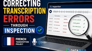 Correcting Transcription Errors Through Inspection–French Transcription Project | DataPlus Platform