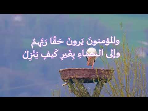 انشاد ديني القصيده اللاميه لابن تيميه 