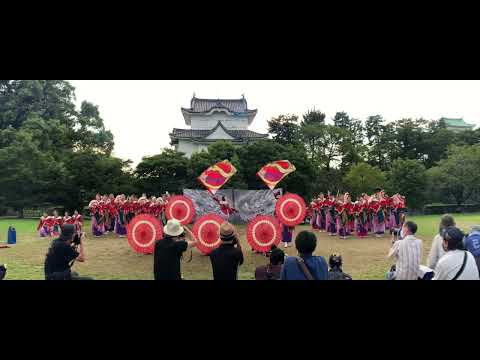 紀州龍神　にっぽんど真ん中祭り 2022