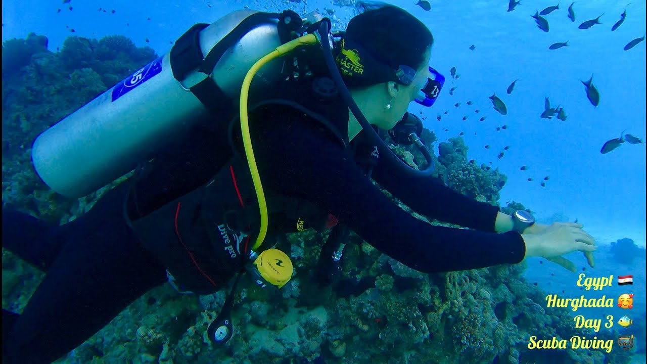 EGYPT. Hurghada. Day 3. Scuba Diving - Abu Ramada