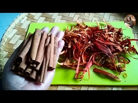 Wedang Kayu Manis Secang