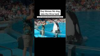 Guy throws dog into Orca tank