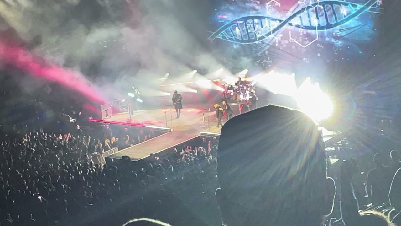 Animal, I’ve become Three Days Grace live in Grand Rapids Michigan ￼