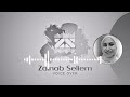 إلقاء شعر مع زينب سليم Arabic Poem Narration 