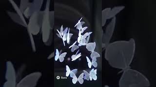 The Wildest Synesthesia Experiences