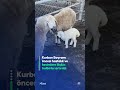 #AJet’in katkılarıyla hazırlanan 60 saniyede bugün