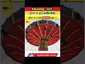 #खतरनाक झूले #हिंदीfacts #facts #youtubeshorts #रोचकfacts #smartphone #motivation #ytshorts #yt