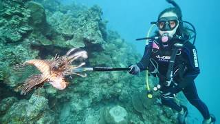 Shooting Lionfish While Scuba Diving In The Caribbean