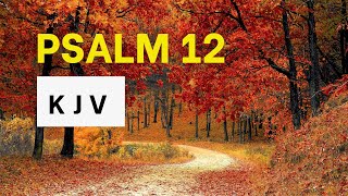 Psalm 12 | KJV Audio Bible | Words + No music