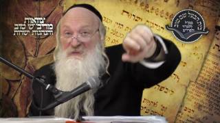 סוגיית התענוג חלק ג. כמה גופים יש לאדם? | הרב סטבסקי | בית הבעל שם טוב