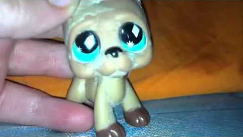LPS VIDEO