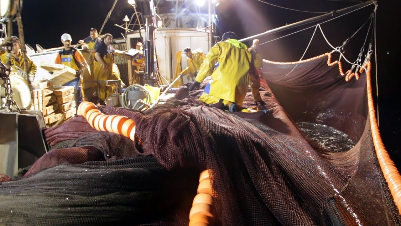 Hnos BRULL VILA   la llum 200