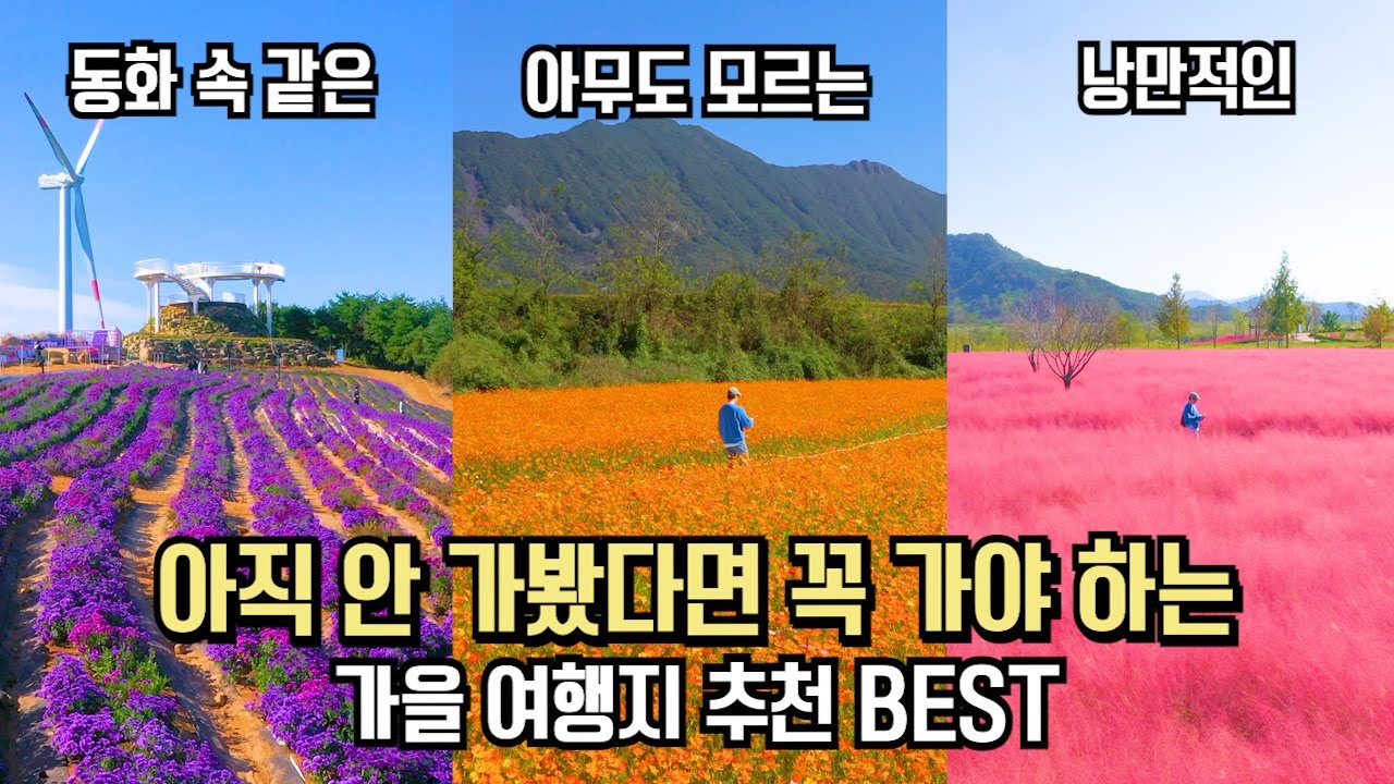 안 가봤다면 무조건 꼭 가야 하는 국내 가을 여행 BEST