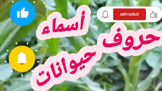 أسئلة ومعلومات مفيده جدا عن أسماء حروف حيوانات