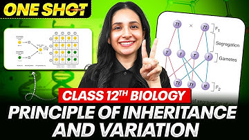 Principle of Inheritance and Variation Class 12 in One Shot | All Concepts, Tricks & PYQs |NEET 2026