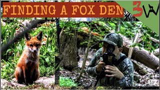 How to Find a Fox Den