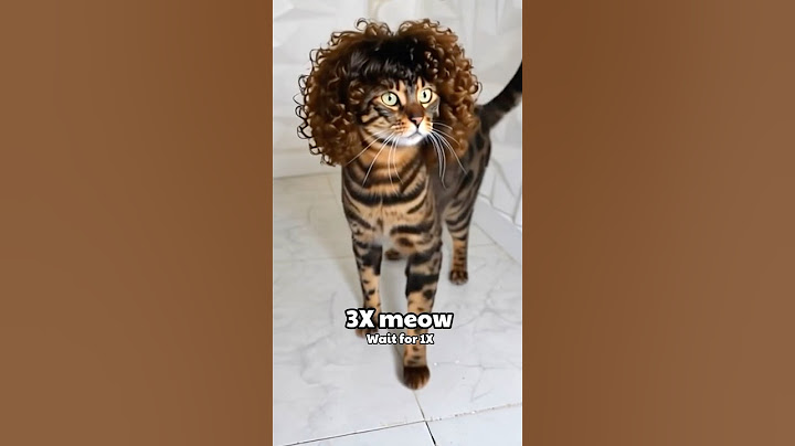 Wait For The Last One Meow #tifefun #shorts #viral