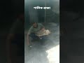 #reels #short শালিক রাজা