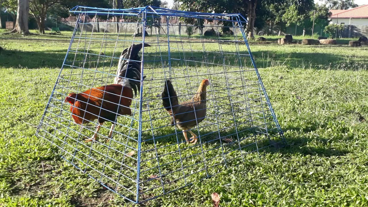 Blackwater Farm Possum Sweater YouTube