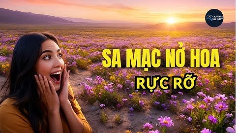 Sa mạc nở hoa rực rỡ - Chuyện Lạ Mỗi Ngày -