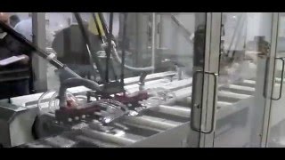 Propack Processing Packaging Systems - Snack Bar Cm Cartoner