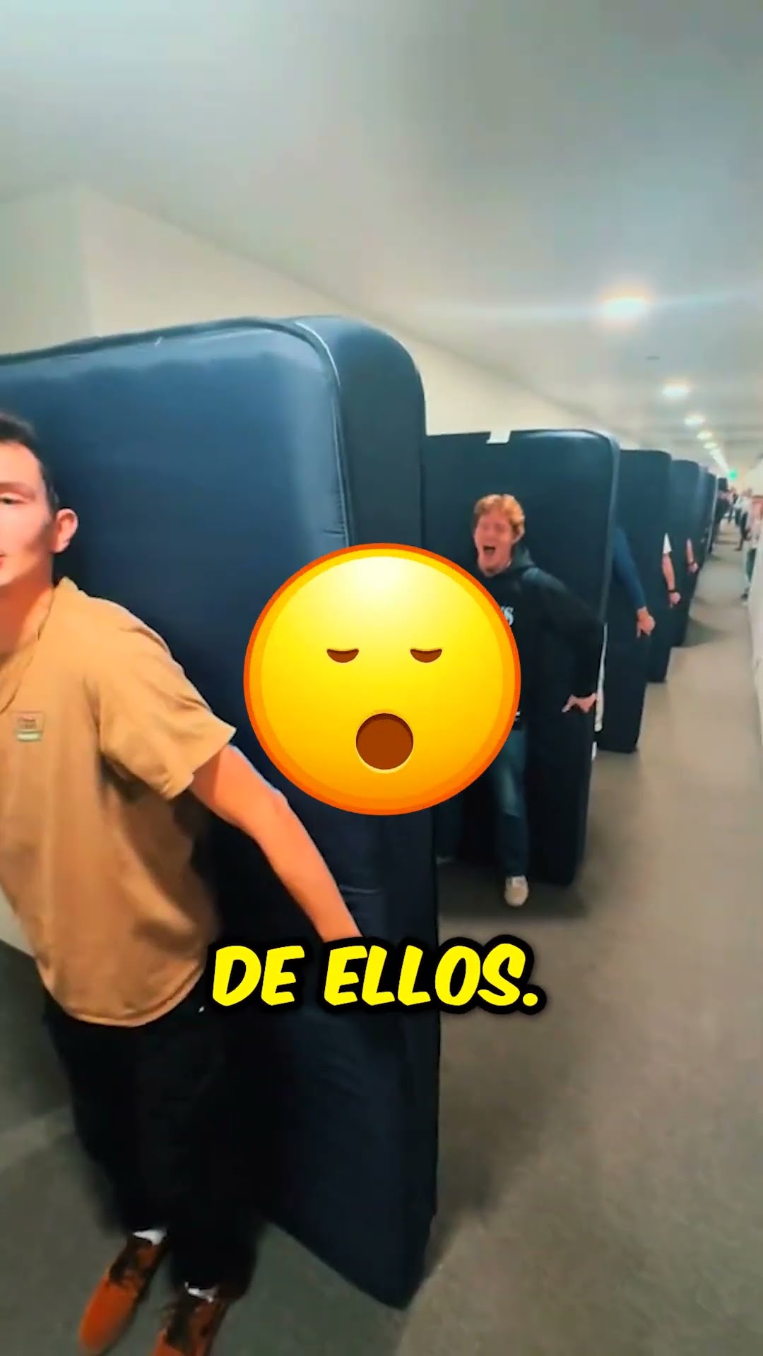 ¡Hicieron dominó en la vida real! ??