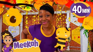 ms meekahs lesson at the museum educational videos for kids blippi and meekah kids tv