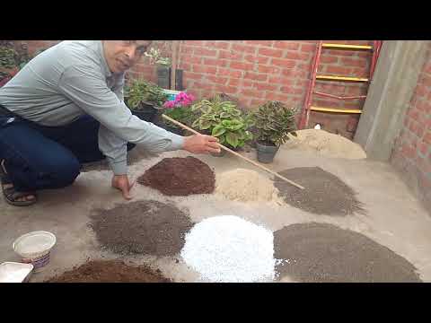فيديو: تربة العنب البري: حموضة التربة وأنواع الخث ، تكوين التربة. كيف تعد الأرض بيديك وما نوع التربة التي تحبها حديقة العنب البري؟