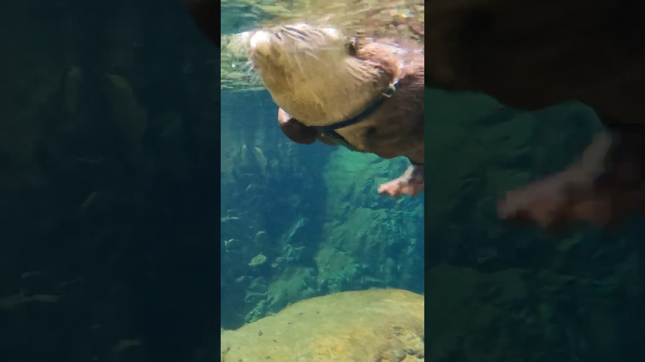 Красивая река, о которой никто не знает😳😳 