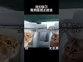 妹の話③ #shorts