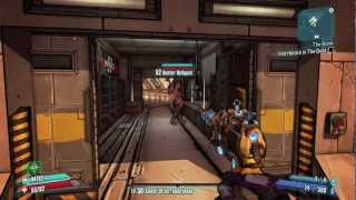 Borderlands 2 - How to Farm The Bee Fast (Drops in the Video)