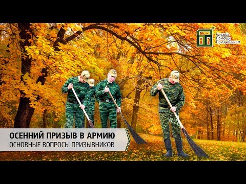 Осенний призыв в армию | Основные вопросы