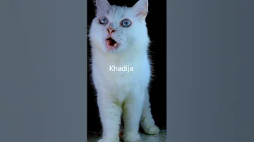 Khadija خديجة 