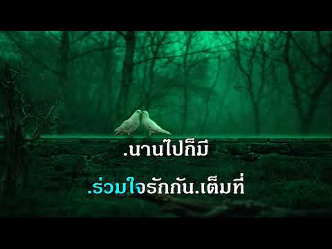 รอยบุญรอยกรรม วินัย จุลบุษปะ สุนทราภรณ์ คาราโอเกะ The golden song karaoke เพลงเอก
