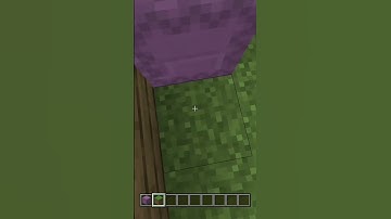 How to make a shulker box secret base entrance #minecraft
