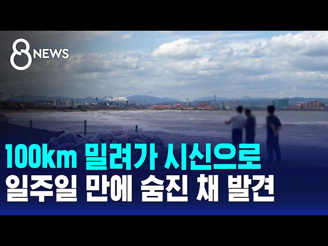100km 밀려가 시신으로..일주일 만에 숨진 채 발견 / SBS 8뉴스