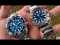 Seiko Monster vs Sumo - Two coral blue beauties