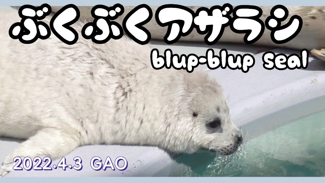 【みずきベビー（おんぷ）】The baby wants to play with water.【あくびしながらぶくぶく】