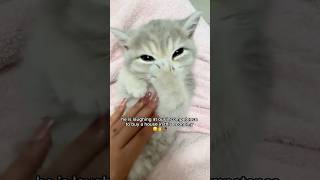 Lil Bro is making fun of us :(