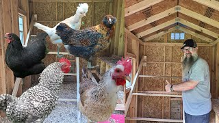 DIY  RAISABLE Chicken ROOSTING BAR | MUST have for YOUR CHICKEN COOP