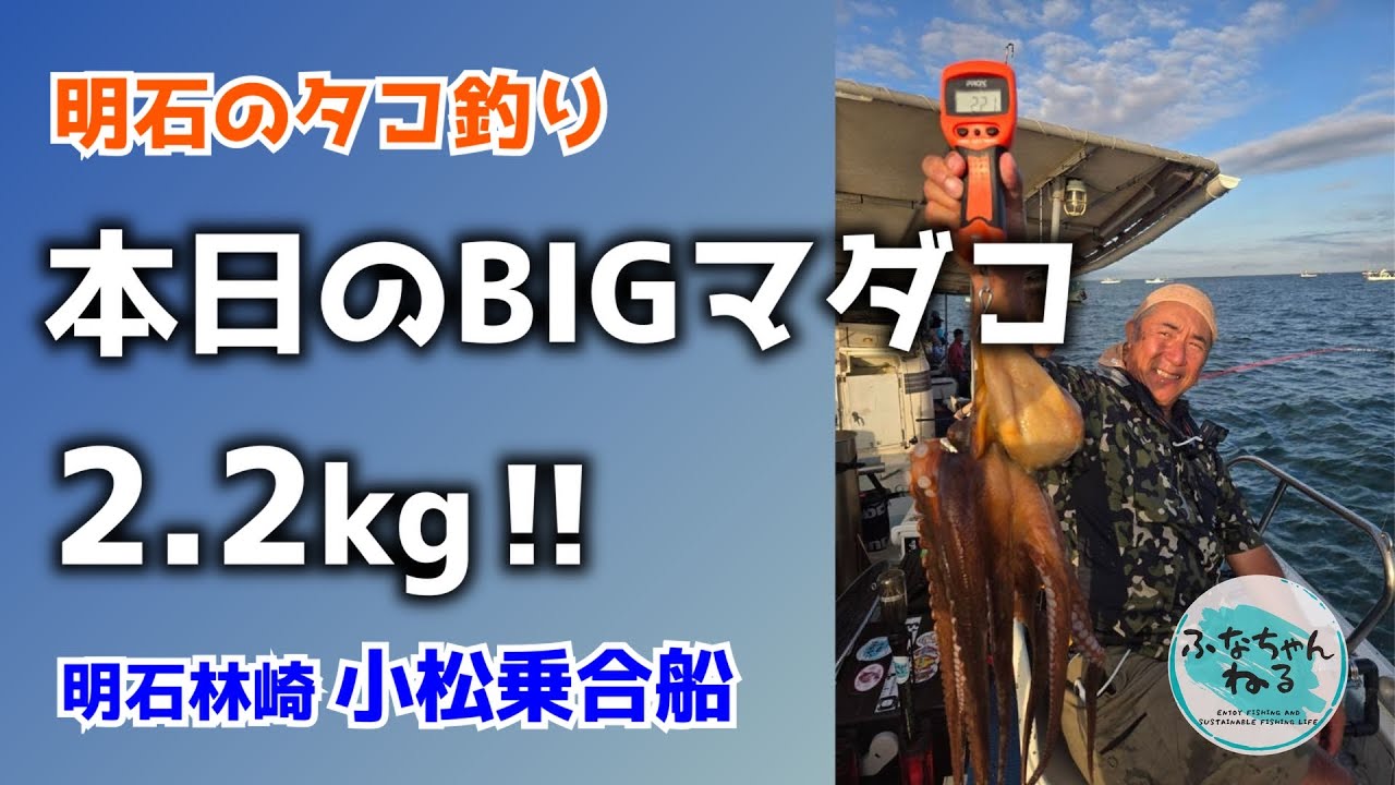 明石タコ釣り】8月中潮回り（6日潮）ついにやった！2キロ超えの大物