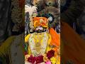 khatu shyam dhamal shorts 3 #shorts #short #harekasahara #khatushyam #khatushyamstatus #khatu