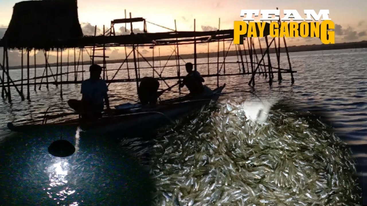 PAGHULI NG BULINAW o DILIS SA LAPGAP o BASNIG (sobrang daming isda)