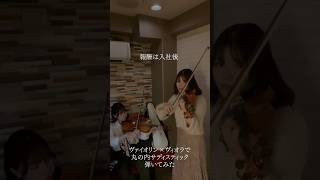 丸の内サディスティック弾いてみた【ヴァイオリン×ヴィオラ】