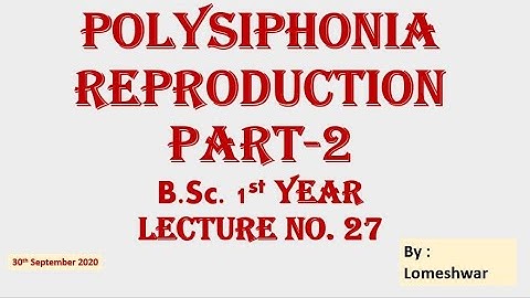 Polysiphonia Reproduction part 2