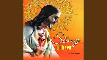 Tình Con Dâng Chúa