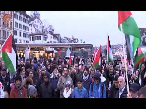 الجالية الفلسطينية تنظم اعتصاما في زوريخ السويسرية